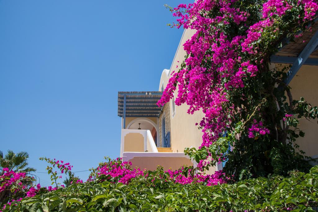 Asterias Mini Coastal Apartments Perivolos  Eksteriør bilde